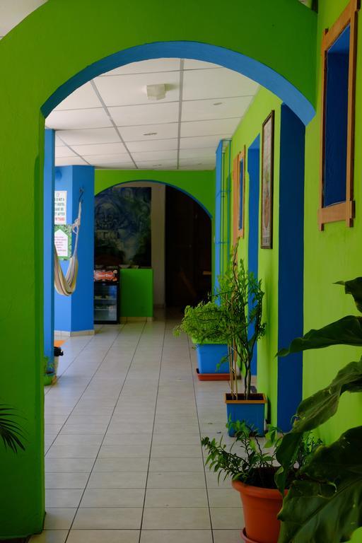 סנטה אנה Hostal Casa Verde מראה חיצוני תמונה